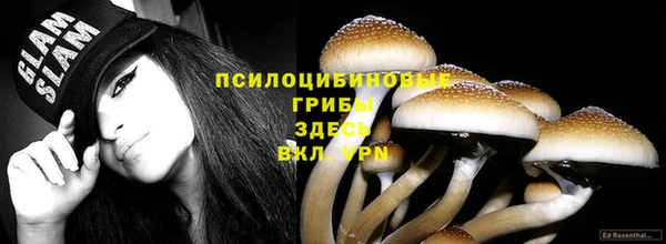 мет Коряжма