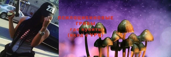 прущие крисы Костерёво