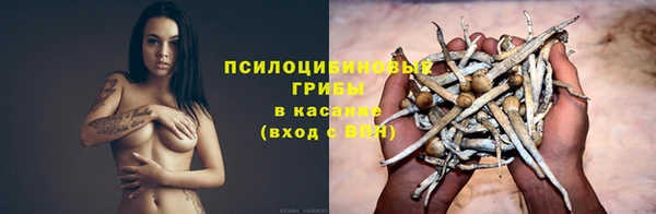 твердый Корсаков