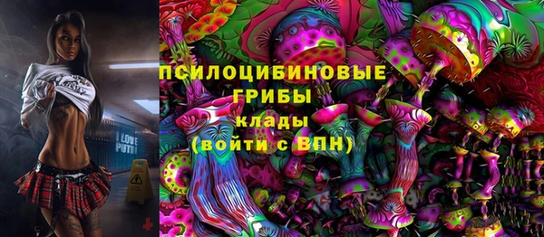 мет Коряжма